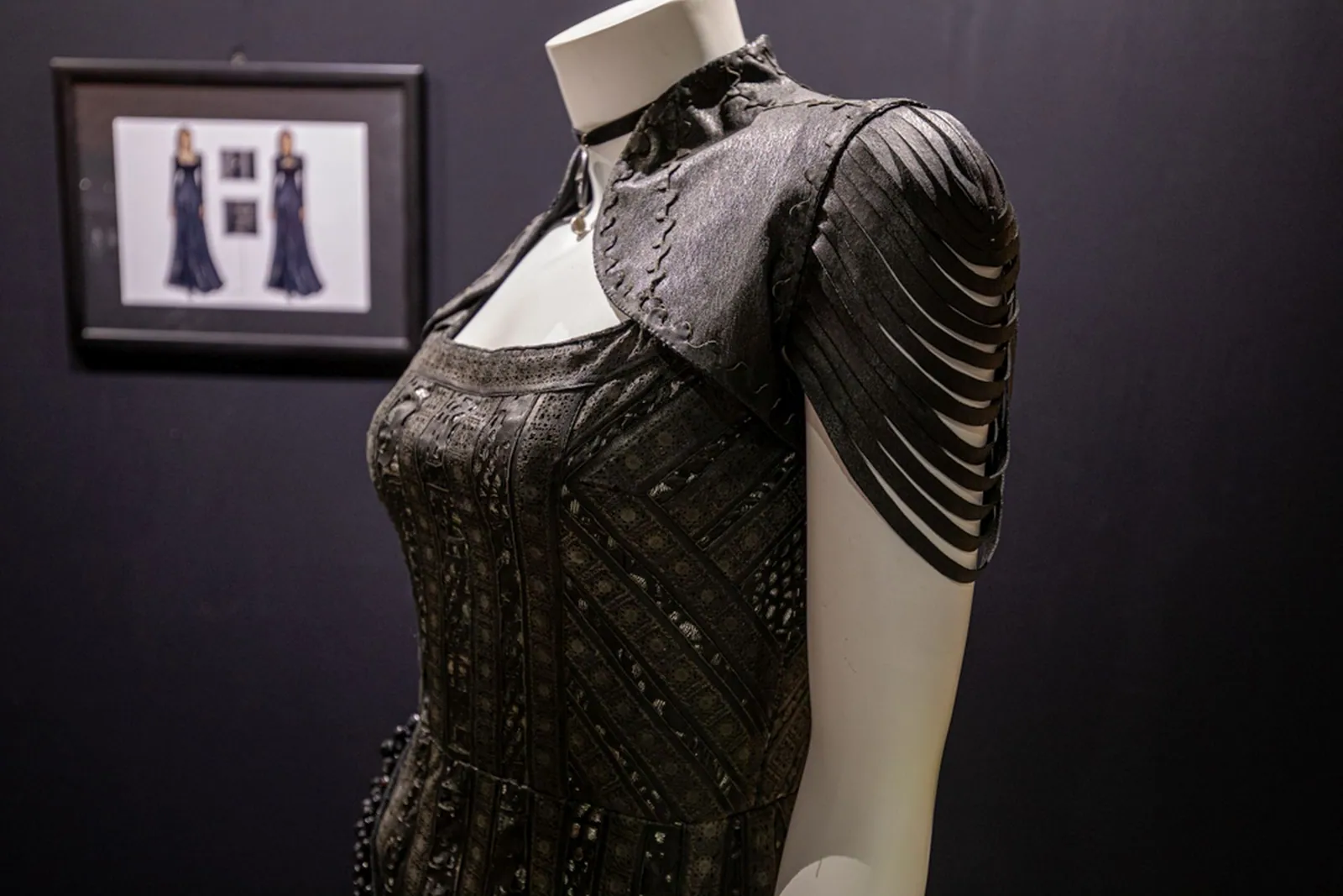 Netflix “The Witcher: Exhibition”, photo 12